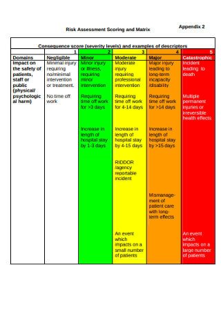 Risk Assessment Scoring and Matrix Template