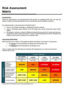 Sample Risk Assessment Matrix Template