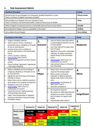 Simple Risk Assessment Matrix Template 