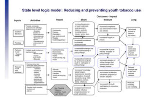 State Level Logic Model Template