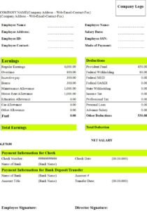 Salary Slip Format For PVT LTD Company