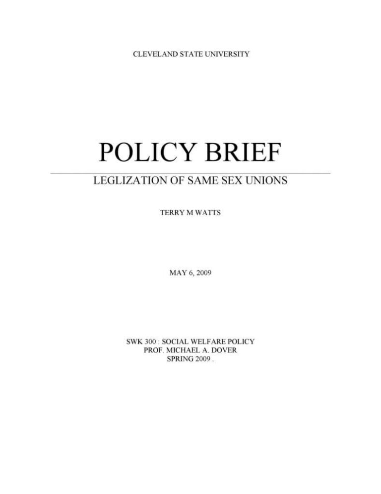 38-policy-brief-template-with-overview-and-examples